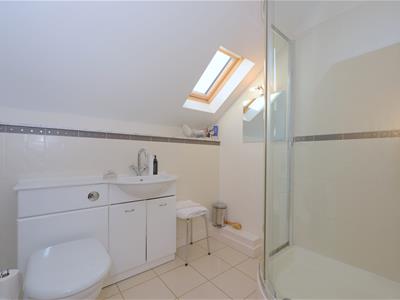 Picture 19